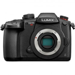 Panasonic LUMIX DC-GH5s Cuerpo