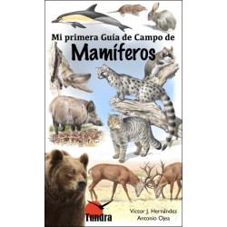 MAMIFEROS.  Coleccion Mi primera guia de campo