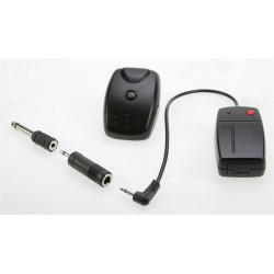 DORR RADIO TRIGGER DC 12V 1CH