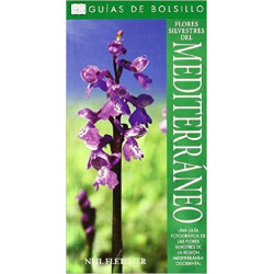 FLORES SILVESTRES DEL MEDITERRANEO