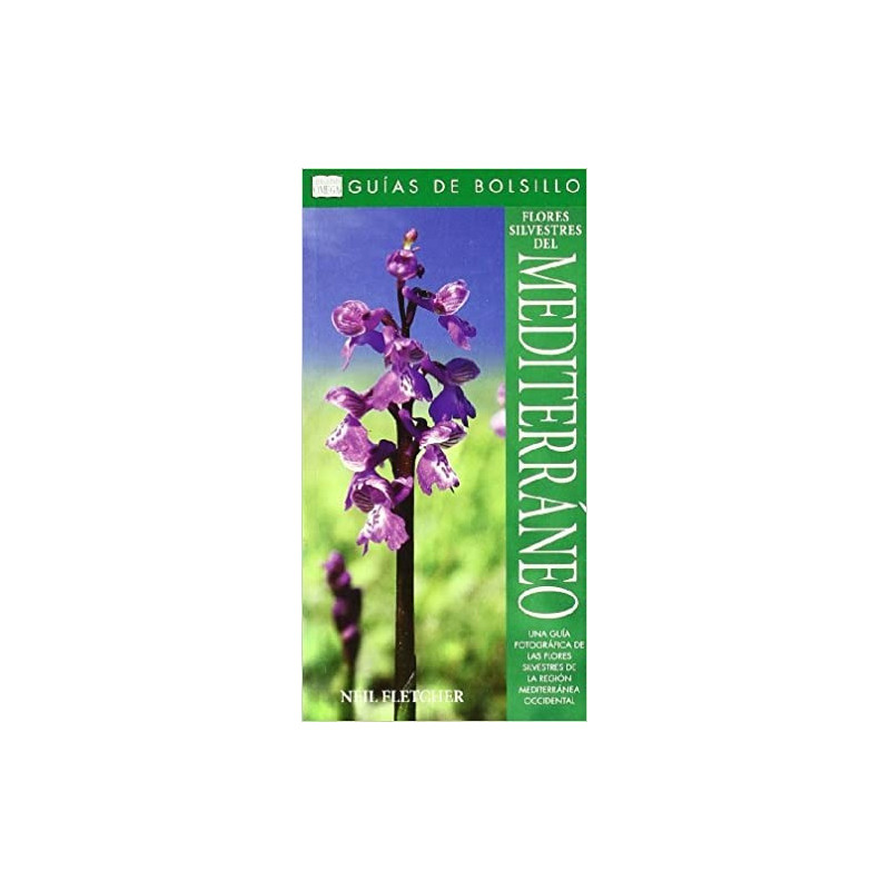 FLORES SILVESTRES DEL MEDITERRANEO