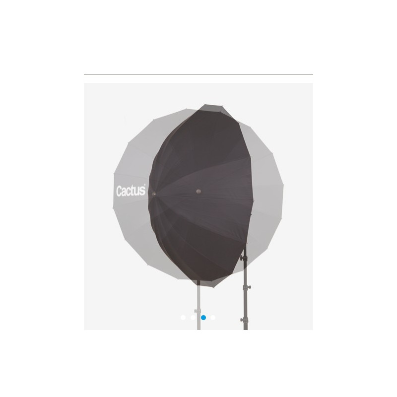 CACTUS 40 ¨ F 403  PARAGUAS