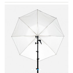 CACTUS 45¨ C453  PARAGUAS