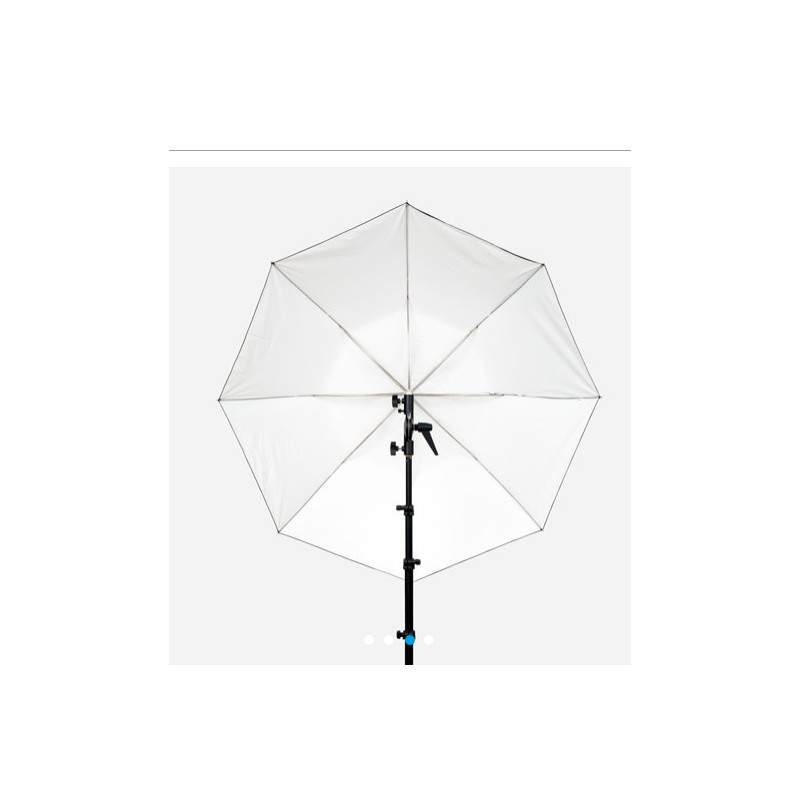 CACTUS 45¨ C453  PARAGUAS