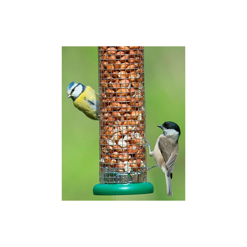 TO-P1G RING-PULL Comedero tubular para cacahuetes