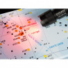 EXPLORE SCIENTIFIC ASTRO R-LITE linterna de luz roja