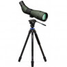 VORTEX Viper HD 20-60x85 Acodado + TRIPODE 