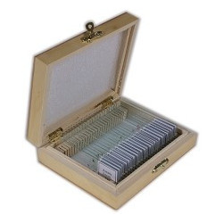 GEOPTIK Muestras preparadas microscopia