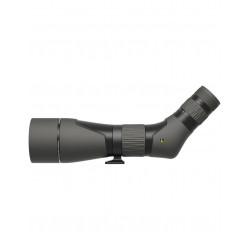 LEUPOLD SX-2 Alpine HD 20-60x80 CON TRIPODE BENRO TMA27A+S2