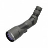LEUPOLD SX-2 Alpine HD 20-60x80 CON TRIPODE BENRO TMA27A+S2