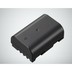 PANASONIC Bateria BLF19