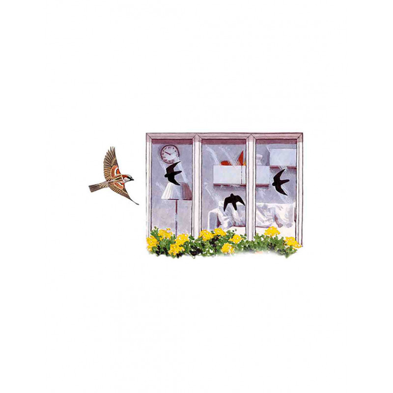 Siluetas adhesivas antichoque pájaros