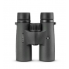 VORTEX Triumph HD 10x42mm
