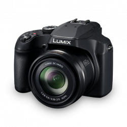 PANASONIC Lumix DC-FZ82D
