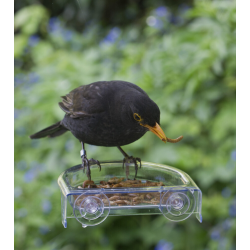 COMEDERO VENTOSA VENTANA