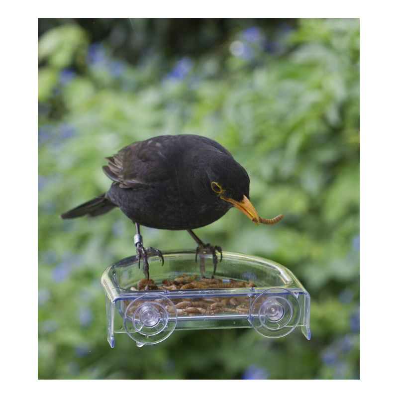 COMEDERO VENTOSA VENTANA