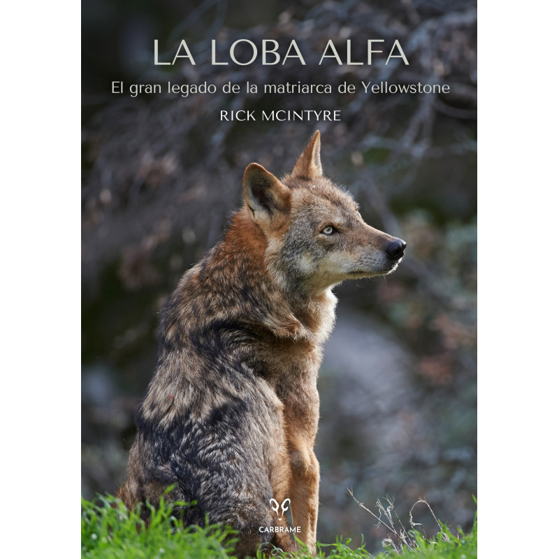 LA LOBA ALFA