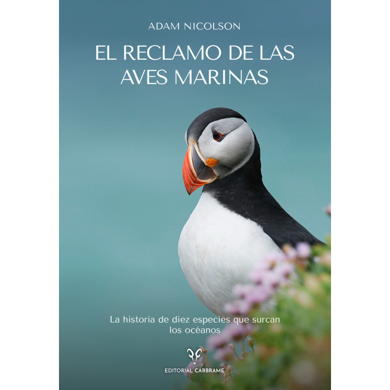 EL RECLAMO DE LAS AVES MARINAS