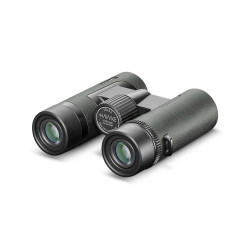 HAWKE Vantage 10x32 verde