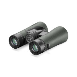 HAWKE Vantage 8x42 verde