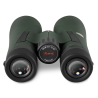 KOWA BD III 12X50 XD