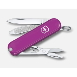 VICTORINOX TASTY GRAPE...