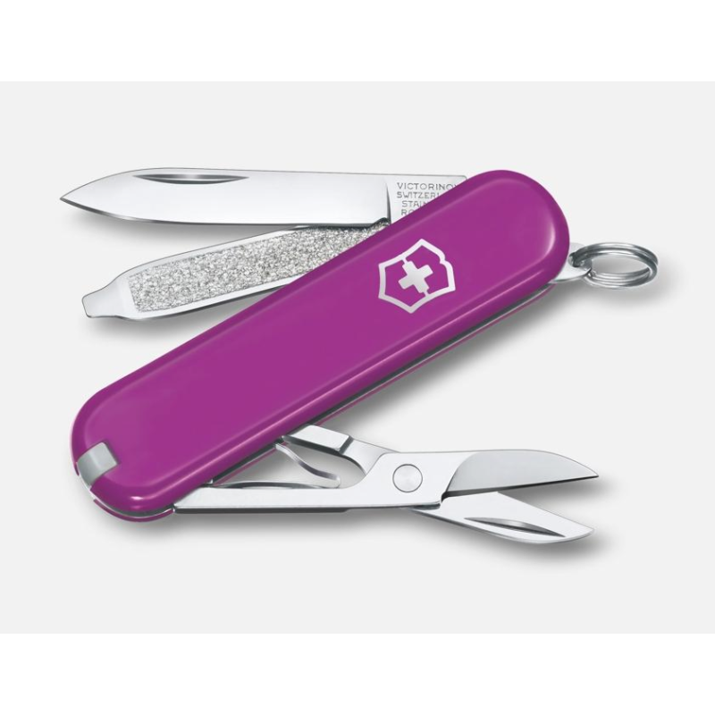 VICTORINOX TASTY GRAPE 0.6223.52G