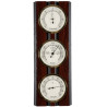 BBI ESTACION METEOROLOGICA HAYA Ref. 203975