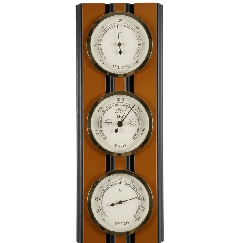 BBI ESTACION METEOROLOGICA ROBLE Y NEGRO Ref. 203974