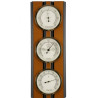 BBI ESTACION METEOROLOGICA ROBLE Y NEGRO Ref. 203974