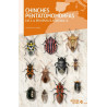 CHINCHES PENTATOMORFAS DE LA PENINSULA IBERICA