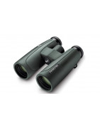 Prismáticos para naturaleza | Foto Roma