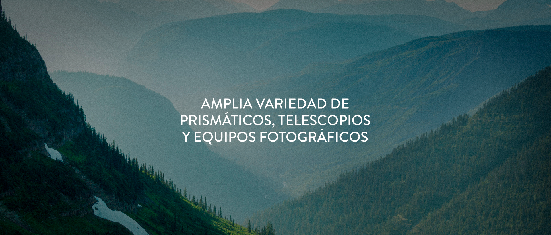 Banner Home Foto Roma