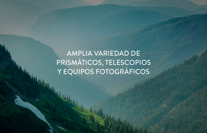 Banner Home Foto Roma