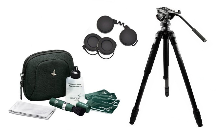 Categoría Accesorios