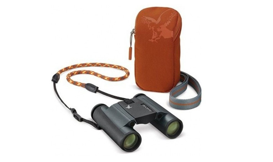 Categoría Compactos