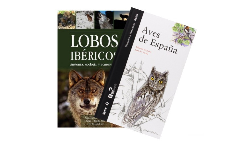 Categoría Libros