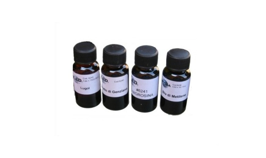 Categoría Tinciones y fijacion