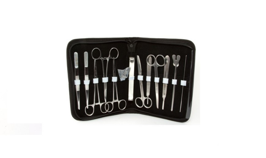 Categoría Instrumental y diseccion