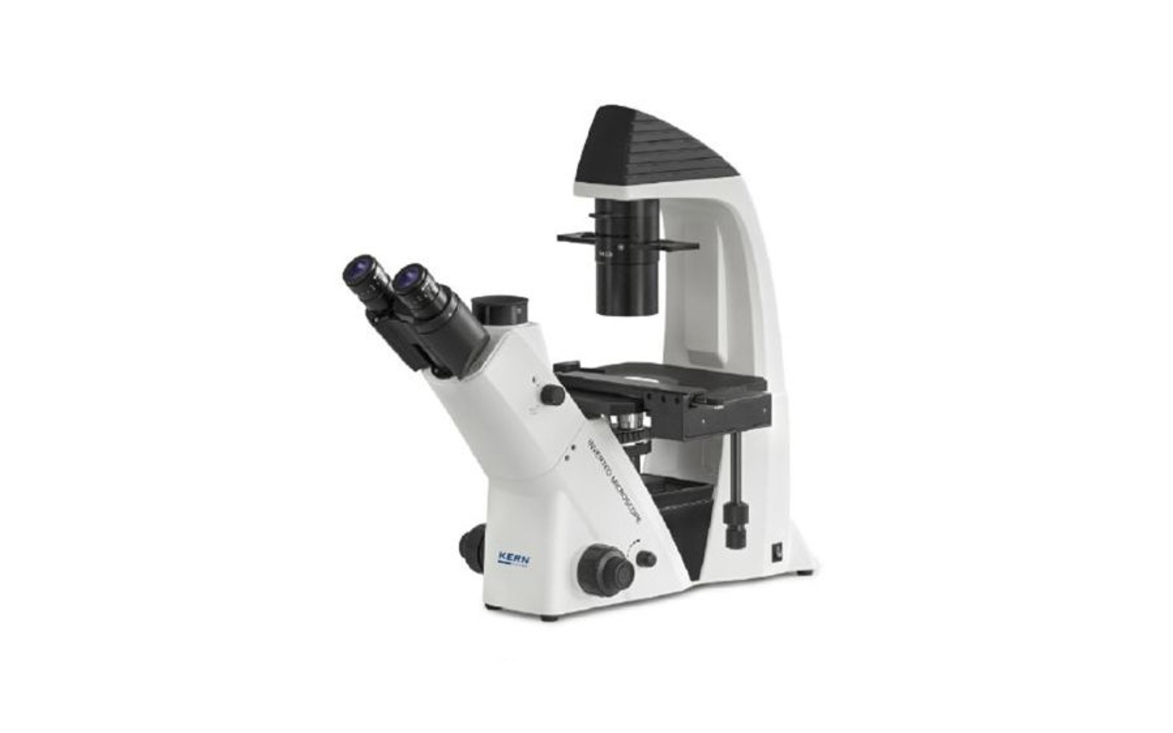 Categoría Especiales