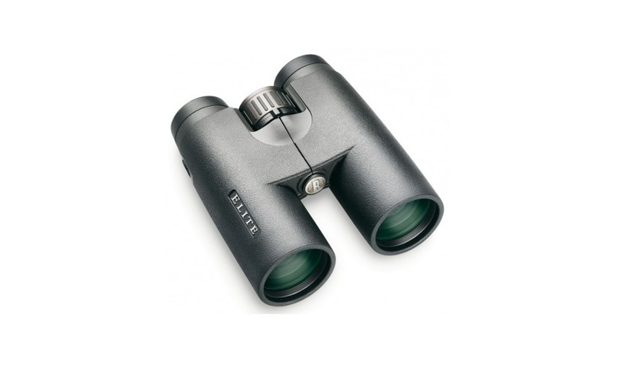 Categoría Prismáticos