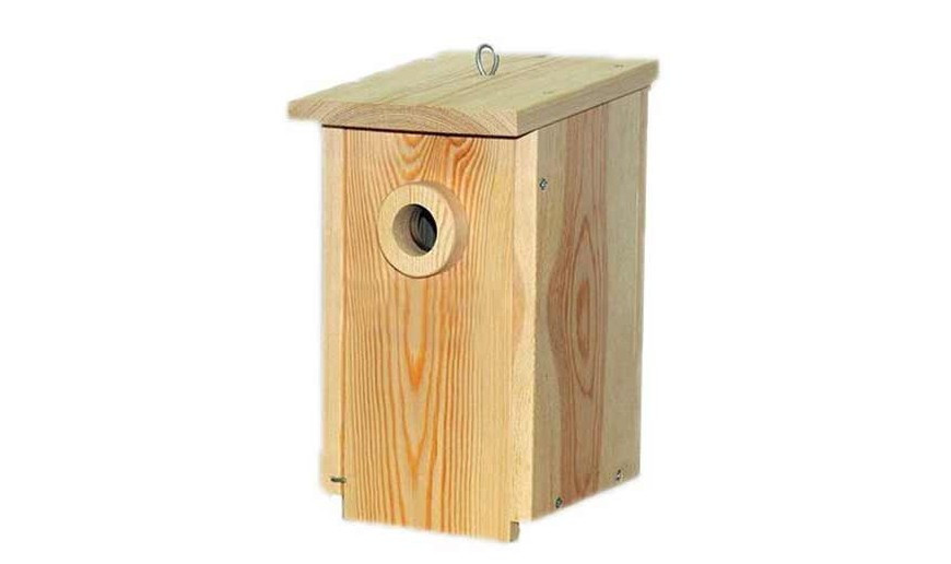 Categoría Aves pequeñas