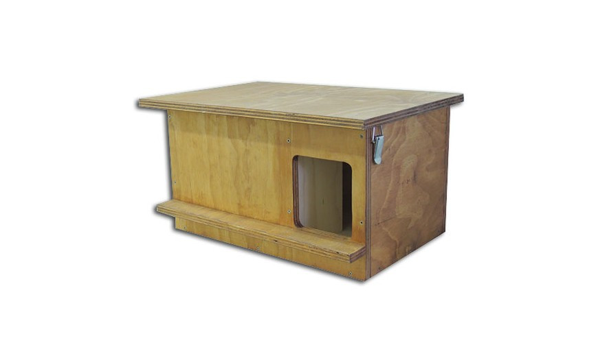 Categoría Aves rapaces