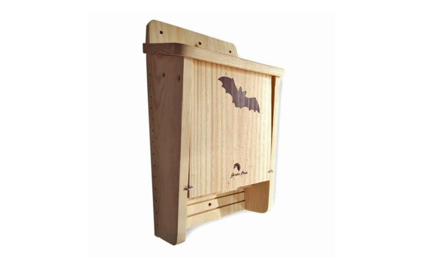 Categoría Mamiferos, insectos..