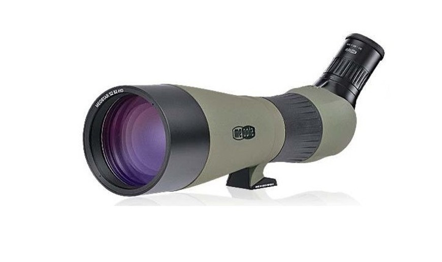 Categoría Terrestres