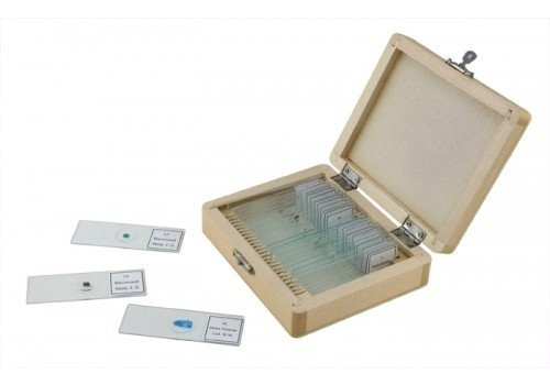 Categoría Accesorios microscopía