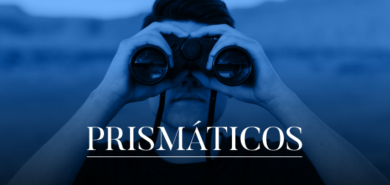 Home Intrumentos - Prismaticos